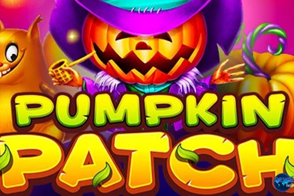 Pumpkin Patch: Surga Slot Gacor yang Belum Banyak Diketahui