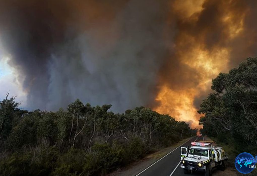 Amukan Alam: Sambaran Petir Picu Kebakaran Besar di Australia