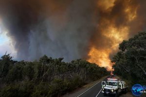 Amukan Alam: Sambaran Petir Picu Kebakaran Besar di Australia