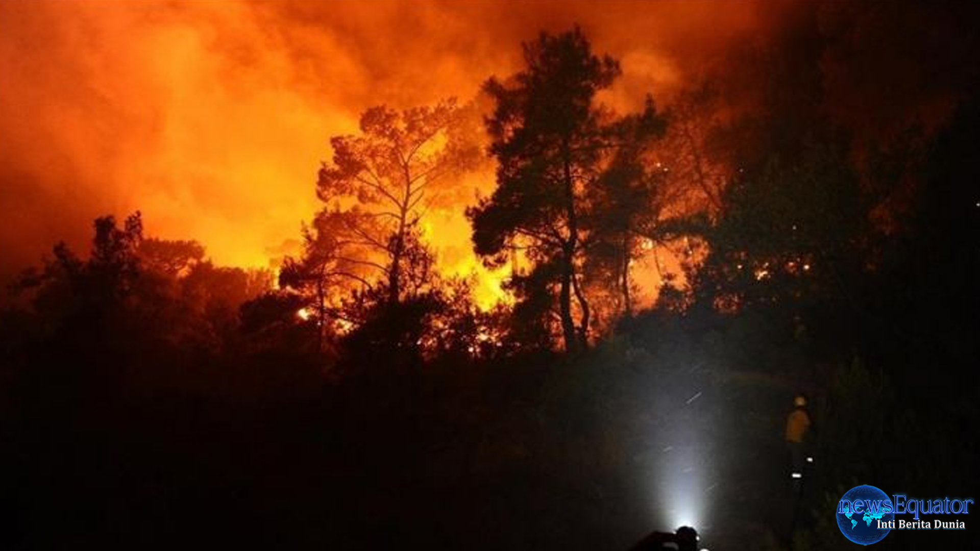 Ketegangan Memuncak, Jepang Lawan Kebakaran Hutan Terbesar