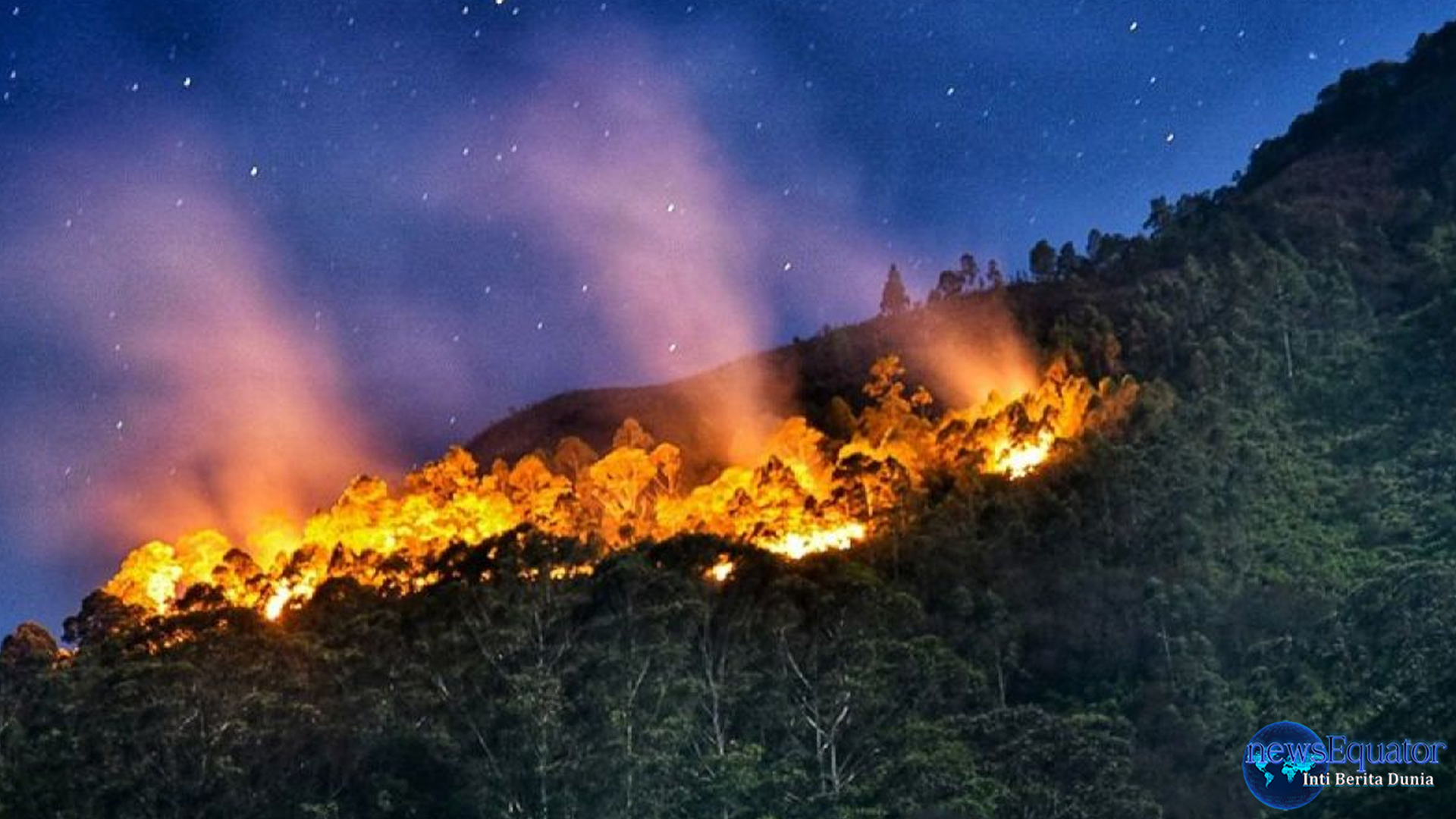 Ketegangan Memuncak, Jepang Lawan Kebakaran Hutan Terbesar