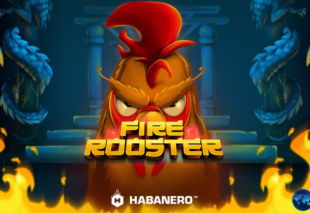 Fire Rooster: Saat Ayam Jantan Api Berkokok Jackpot pun Meledak